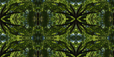 Digitale Kunst mit dem Titel "Forest Abstract 18" von Kenneth Grzesik, Original-Kunstwerk, Digitale Malerei