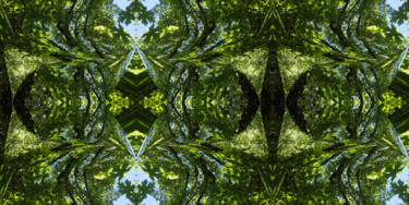 Цифровое искусство под названием "Forest Abstract 33" - Kenneth Grzesik, Подлинное произведение искусства, Цифровая живопись