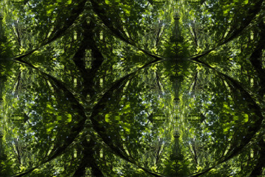 Цифровое искусство под названием "Forest Abstract 35" - Kenneth Grzesik, Подлинное произведение искусства, Цифровая живопись