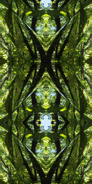 Digital Arts titled "Forest Abstract 39" by Kenneth Grzesik, Original Artwork, Digital Painting