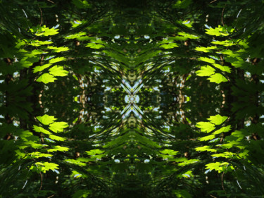 Цифровое искусство под названием "Forest Abstract 44" - Kenneth Grzesik, Подлинное произведение искусства, Цифровая живопись