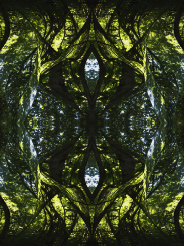 Цифровое искусство под названием "Forest Abstract 45" - Kenneth Grzesik, Подлинное произведение искусства, Цифровая живопись
