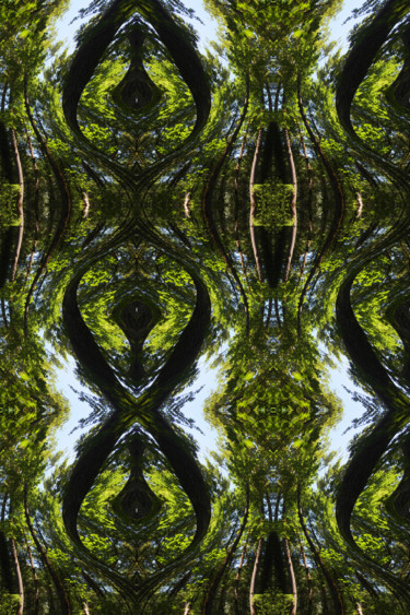 Цифровое искусство под названием "Forest Abstract 49" - Kenneth Grzesik, Подлинное произведение искусства, Цифровая живопись