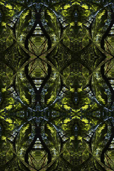 Digital Arts titled "Forest Abstract 63" by Kenneth Grzesik, Original Artwork, 2D Digital Work