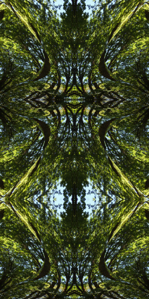 Grafika cyfrowa / sztuka generowana cyfrowo zatytułowany „Forest Abstract 70” autorstwa Kenneth Grzesik, Oryginalna praca, 2…