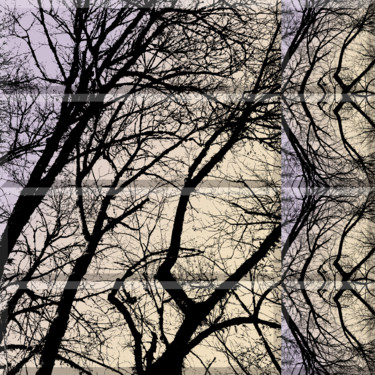 Artes digitais intitulada "Wintry Forest 4" por Kenneth Grzesik, Obras de arte originais, Trabalho Digital 2D