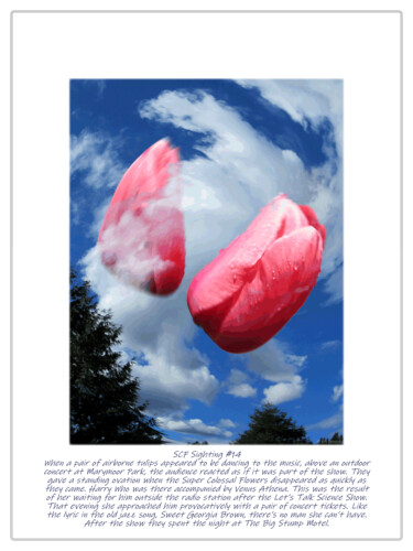 Digital Arts με τίτλο "SCF Sighting #14" από Kenneth Grzesik, Αυθεντικά έργα τέχνης, Ψηφιακή φωτογραφία