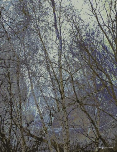 Digital Arts titled "Winter Forest 5" by Kenneth Grzesik, Original Artwork