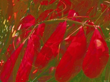 Arts numériques intitulée "Autumnation 5" par Kenneth Grzesik, Œuvre d'art originale, Peinture numérique