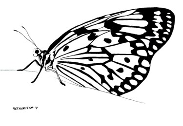Zeichnungen mit dem Titel "papillon encre de c…" von Sebastian Ponchaut (sterton), Original-Kunstwerk, Tinte