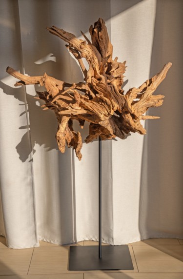 Скульптура под названием "Acacia root sculptu…" - Jozef Sedmak, Подлинное произведение искусства, Дерево