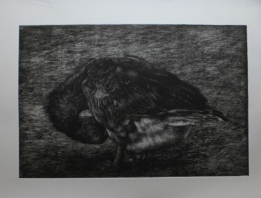Incisioni, stampe intitolato "L'oie (manière noir…" da Segal-Creismeas, Opera d'arte originale, incisione Montato su artwork…
