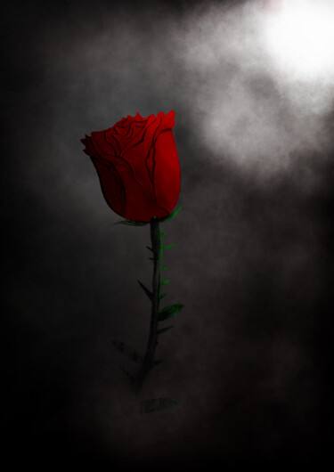 Digital Arts titled "Rose avec un rayonn…" by Seihdr, Original Artwork, 2D Digital Work