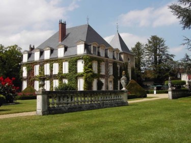 Fotografia intitolato "Château de Laas fac…" da Jean-Claude Selles Brotons, Opera d'arte originale