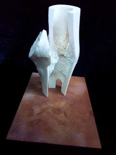 雕塑 标题为“Antichambre” 由Serendipity Liche, 原创艺术品, 骨