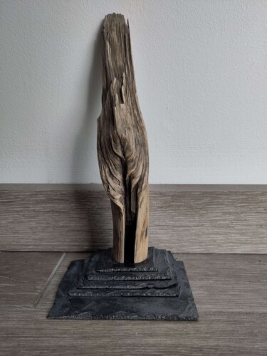 Скульптура под названием "Inner temple" - Serendipity Liche, Подлинное произведение искусства, Дерево
