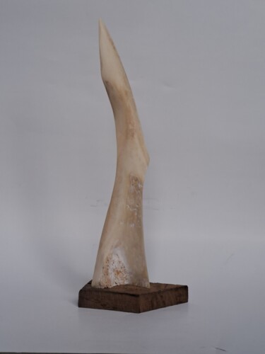 Sculpture titled "Nothing IV" by Serendipity Liche, Original Artwork, Bone