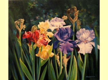 Картина под названием "iris" - Sergey Kolodyazhniy, Подлинное произведение искусства, Масло