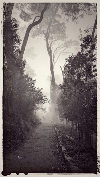 Photographie intitulée "Sintra sous la brum…" par Johnny Rinkel, Œuvre d'art originale, Photographie numérique