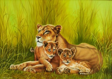 绘画 标题为“Lions” 由Shahen Aleksandryan, 原创艺术品, 油