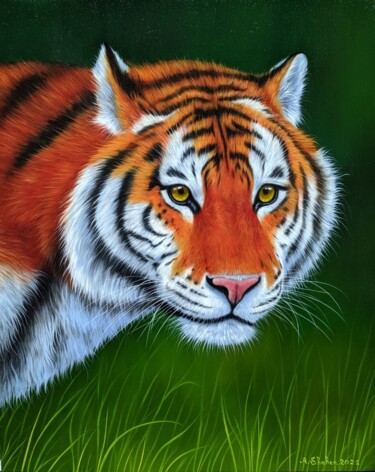 Peinture intitulée "Tiger portrait" par Shahen Aleksandryan, Œuvre d'art originale, Huile
