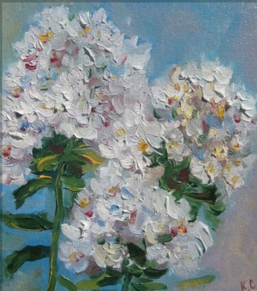 Schilderij getiteld "Phlox oil painting,…" door Svitlana Klymenko, Origineel Kunstwerk, Karton