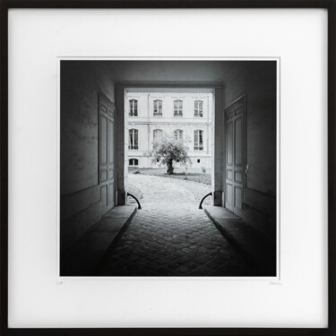 Photography titled "Tree in the Courtya…" by Gerald Berghammer, Original Artwork, Analog photography Mounted on Cardboard