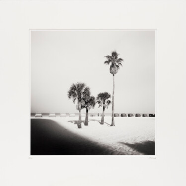 Fotografia intitolato "Palm Beach Study 4,…" da Gerald Berghammer, Opera d'arte originale, fotografia a pellicola