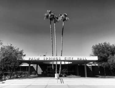 제목이 "Palm Springs"인 사진 Silvia Ruiz-Poveda로, 원작, 조작되지 않은 사진