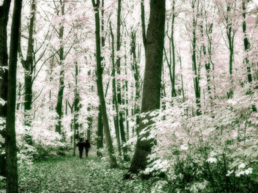 Digitale Kunst getiteld "White Woods" door Silvia Marcoschamer, Origineel Kunstwerk, Gemanipuleerde fotografie