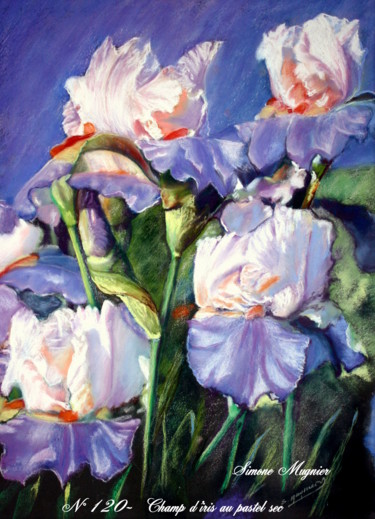 Malerei mit dem Titel "120 - Champ-d-iris" von Simone Mugnier, Original-Kunstwerk, Pastell