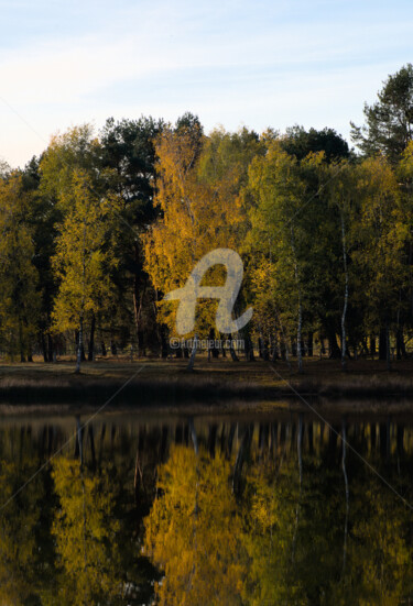 Photography titled "Splendor of autumn" by Slydesign, Original Artwork, Digital Photography