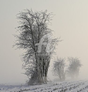 Fotografia intitolato "Lonely guardian" da Slydesign, Opera d'arte originale, Fotografia digitale