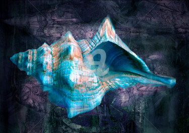 Artes digitais intitulada "Sea Shell" por Sobreira Airton, Obras de arte originais, Pintura digital