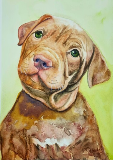 Painting titled "Curiosa" by Solange Esposito (SEsposito), Original Artwork, Watercolor