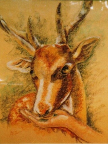 Disegno intitolato "Cerbiatto - Bambi" da Solange Esposito (SEsposito), Opera d'arte originale, Pastello