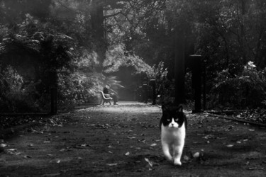 "Residents of my ref…" başlıklı Fotoğraf Sol Marrades tarafından, Orijinal sanat