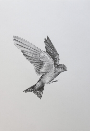 Rysunek zatytułowany „Grace in Flight” autorstwa Sophie Marts, Oryginalna praca, Ołówek