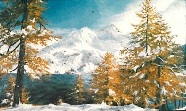 Schilderij getiteld "Winter in Austria" door Sorinapostolescu, Origineel Kunstwerk, Olie