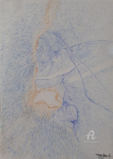 Drawing titled "Manifestation borde…" by Steeve Tabar, Original Artwork, Pencil Mounted on Plexiglass