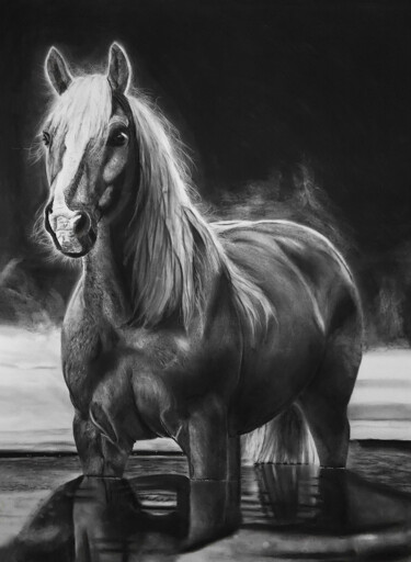 "The Horse Charcoal" başlıklı Resim Steeven Shaw tarafından, Orijinal sanat, Karakalem