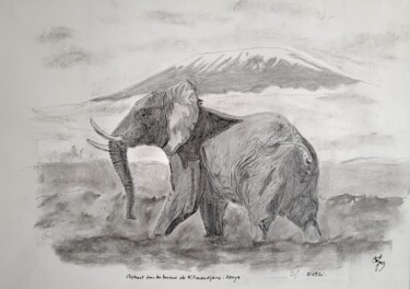 Σχέδιο με τίτλο "Eléphant devant le…" από Stefan, Αυθεντικά έργα τέχνης, Μολύβι