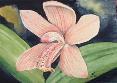 Painting titled "Orchidee" by Stefan Dhein, Original Artwork, Watercolor