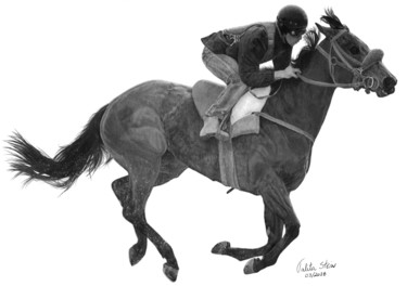 Zeichnungen mit dem Titel "Cavalo de corrida I…" von Talita Stein, Original-Kunstwerk, Graphit