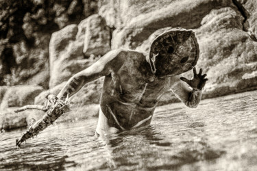 Fotografía titulada "L'oracle des cascad…" por Steve Drevet, Obra de arte original, Fotografía digital