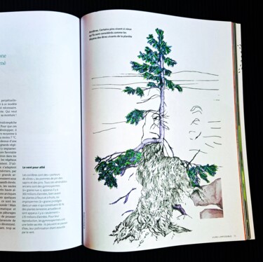 "Illustrations LA TR…" başlıklı Tablo Stina Lundberg tarafından, Orijinal sanat, Kalem