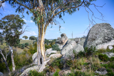 Photography titled "Crookwell Landscape" by Stuart Row, Original Artwork, Digital Photography