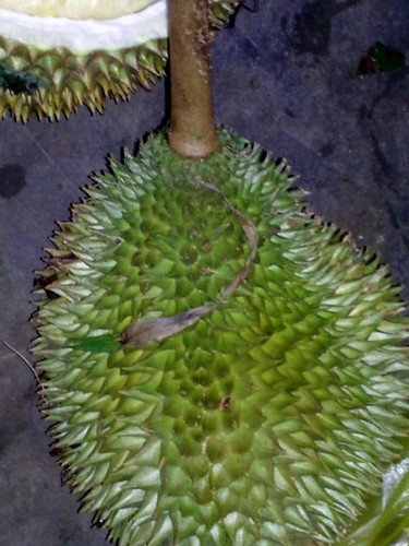 Photography titled "durian.jpg" by Suleiman, Original Artwork