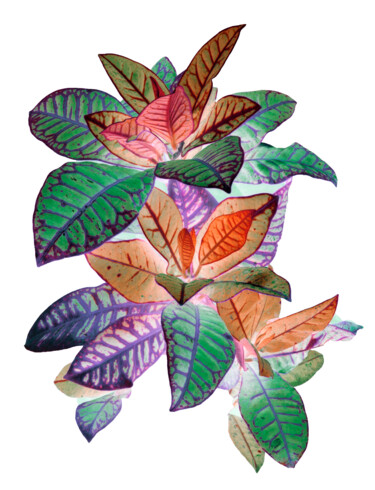 Druckgrafik mit dem Titel "Heavenly plants Nº06" von Sumit Ratta, Original-Kunstwerk, Digitaldruck