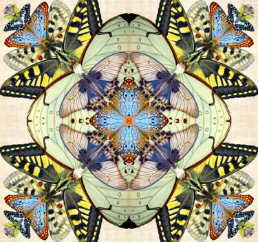 Digital Arts titled "Mothscope" by Sumit Ratta, Original Artwork, Photo Montage